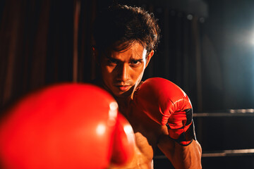 Muay Thai boxer punch his fist in front of camera in ready to fight stance posing at gym with...
