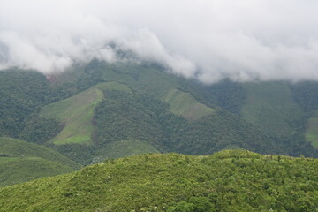 The white mist in the middle of the green valley is divided into beautiful color layers.