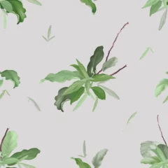 Gordijnen Green organic various plants seamless pattern © momosama