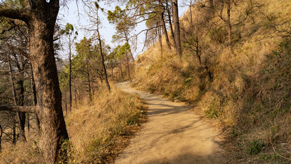 Fototapeta premium Scenic landscape of Kasauli, Gilbert trail also known as sunset point