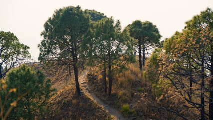 Scenic landscape of Kasauli, Gilbert trail also known as sunset point