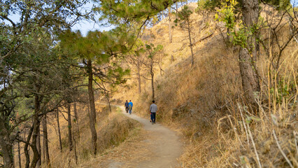 Scenic landscape of Kasauli, Gilbert trail also known as sunset point © Arnav Pratap Singh