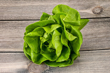 Butter lettuce salad green  leaves