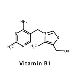 Vitamin B 1 structure formula flat style