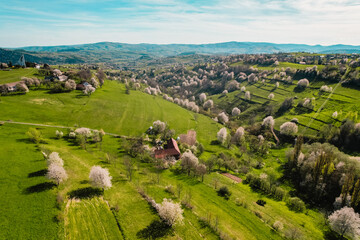 Spring Slovakia landscape. Nature fields with blooming cherries. Unique ecological land management. Polana region, Hrinova, Slovakia Europe. © Zedspider