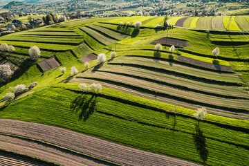 Spring Slovakia landscape. Nature fields with blooming cherries. Unique ecological land management. Polana region, Hrinova, Slovakia Europe. © Zedspider