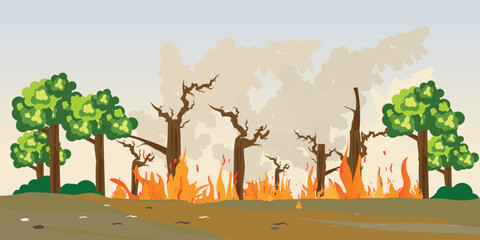 Forest burning in natural disaster.