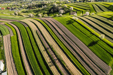 Spring Slovakia landscape. Nature fields with blooming cherries. Unique ecological land management. Polana region, Hrinova, Slovakia Europe. © Zedspider