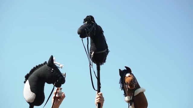 victory in the competition. close-up. slow motion video. Horse head on a stick Full HD video recording in high quality