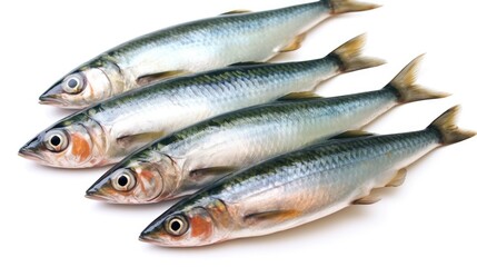 A fresh mackerel fish isolated on white background. Atlantic mackerel fish. Generative Ai