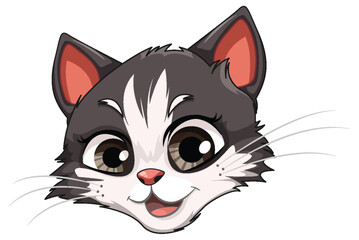Fototapeta premium A Grey White Cat Head with Striking Brown Eyes