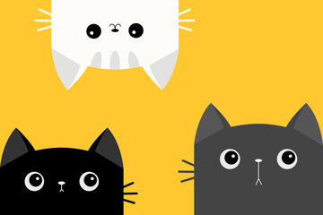 Cat set. Kitten in the corner. Black White Gray face icon. Funny kawaii doodle animal. Kitty upsidedown. Cute cartoon funny character. Three friends. Pet collection. Flat design. Baby background.