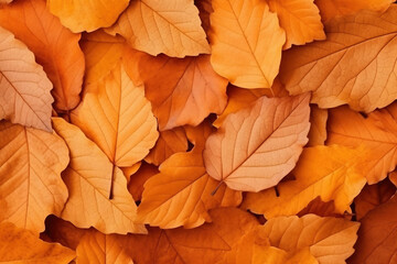 Naklejka na ściany i meble Autumn background with yellow leaves. Generative AI.