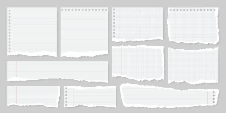 Set of torn or ripped notebook paper with line, grid, dot and margin. Split note, scrap page and newspaper tear with edges for abstract banner background. Social media grunge label or scrapbook strip.