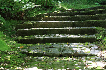 苔むす石畳みの階段