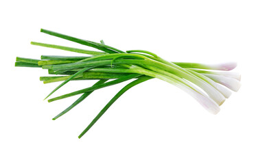 Green onion transparent png