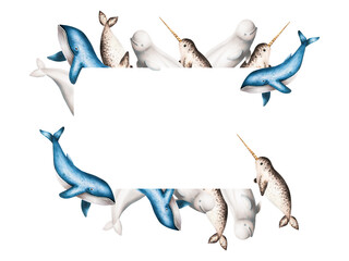 Fototapeta premium Watercolor frame with beluga, blue whale and narwhal isolated on white background. Hand painting realistic Arctic and Antarctic ocean mammals. For designers, decoration, postcards, wrapping paper, 
