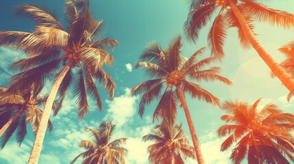 Palm trees against blue sky, Palm trees at tropical coast, vintage toned and stylized, coconut tree,summer tree ,retro generative ai