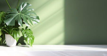 white marble stone counter table, tropical monstera plant in sunlight on green wall background for fresh organic cosmetic, luxury skin care, beauty product presentation