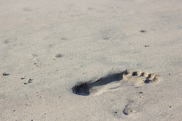 footprints in the beach sand