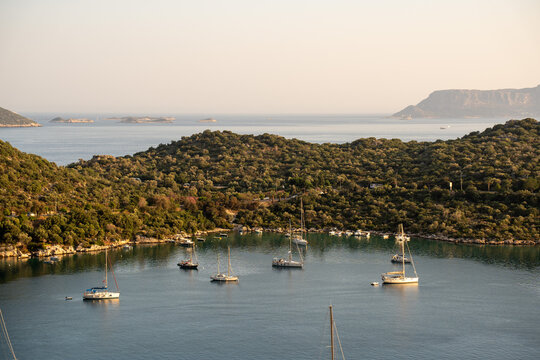 boats in the harbor