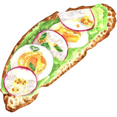 Watercolor sandwiches hand painted snacks. Flat lay food illustration. Traditional tapas. Bruschetta watercolor hand drawn set isolated on white background. Sandwiches with avocado tomato and berries.
