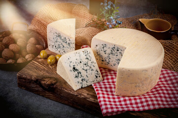 Cheese collection, piece of gorgonzola cheese with blue mold close up