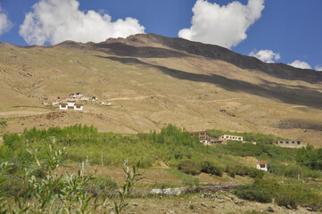 Beautiful view of a green village on dry mountain in Padum, Zanskar Valley, Ladakh, INDIA. 