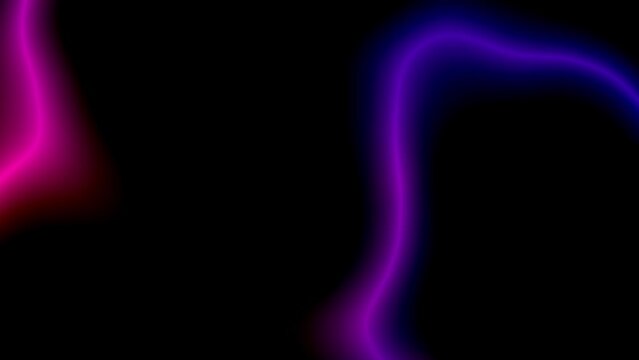 Abstract moving glowing blue pink purple red lines on black background. Laser show. Loop animation. Flowing motion of neon curved rings. Vibrant flashes. Technology wallpaper banner cover presentation