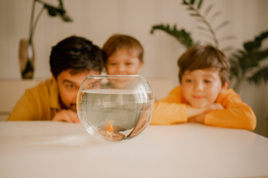 Father with children looking at fish in bowl