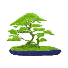 Bonsai is a great plant 