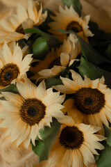 Flowers of sunflowers on the background of an orange bed