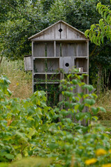 hôtel à insectes