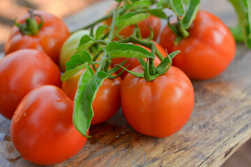 Fresh red tomatoes with green leaves on wooden background