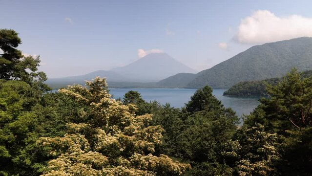 千円札の富士山を撮影したのと同じ場所で観た夏の風景。