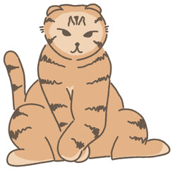 Remember to always treat cats with care and respect, and consider adopting or supporting local animal shelters and rescue organizations.