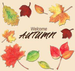 Autumn illustration with fallen leaves painted in watercolor , 수채화로 그린 낙엽이 있는 가을 일러스트