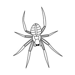 Spider black doodle outline.