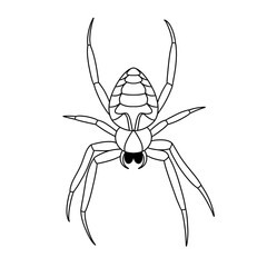 Spider black doodle outline.
