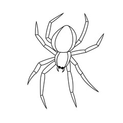 Spider black doodle outline.
