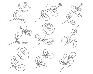 collection forest fern eucalyptus art foliage natural leaves herbs in line style. Decorative beauty elegant illustration for design hand drawn flower