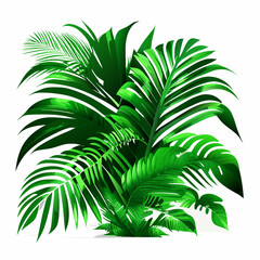 Beautiful tropical palm leaves isolated on white background. Vector illustration.