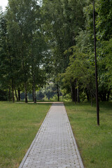photo walking trail in a park with trees