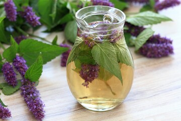 Herbal tea from medicinal herb Agastache foeniculum, also called  giant hyssop or Indian mint....
