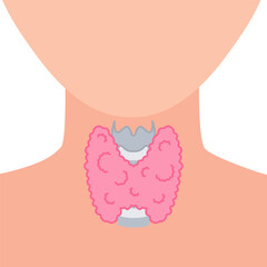 Thyroid gland lobes icon. Faceless body silhouette. Thyroid hormones function support. Hyperthyroidism and hypothyroidism diseases. Metabolism control. Body anatomy diagram. Vector illustration.