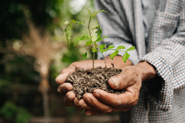 Man hands grabbing earth with a plant.The concept of farming and business growth..