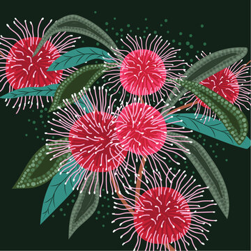 Australian Hakea Flowers Painting In aboriginal style