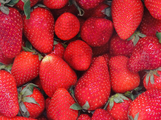 A group of fresh strawberries background. Close up, top view. Fruit and healthy food concept.