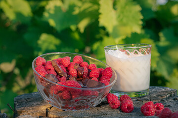 raspberries in a glass. raspberries with chocolate in a plate and a glass of yogurt nearby