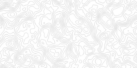 Background of the topographic map. White wave paper curved reliefs abstract background. Topographic line contour map background. Black and white topography contour lines map isolated.